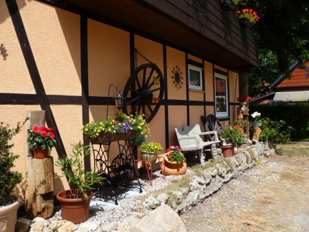 Ferienwohnungen Klosterblick Walkenried Zewnętrze zdjęcie