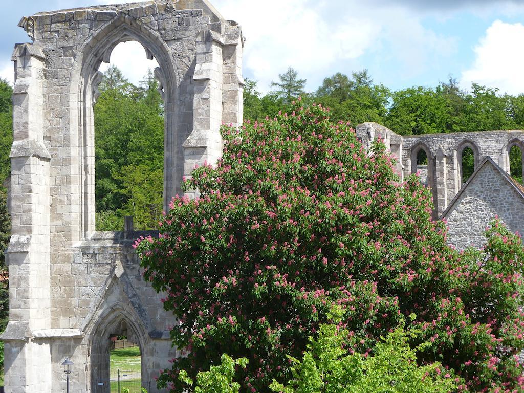 Ferienwohnungen Klosterblick Walkenried Zewnętrze zdjęcie