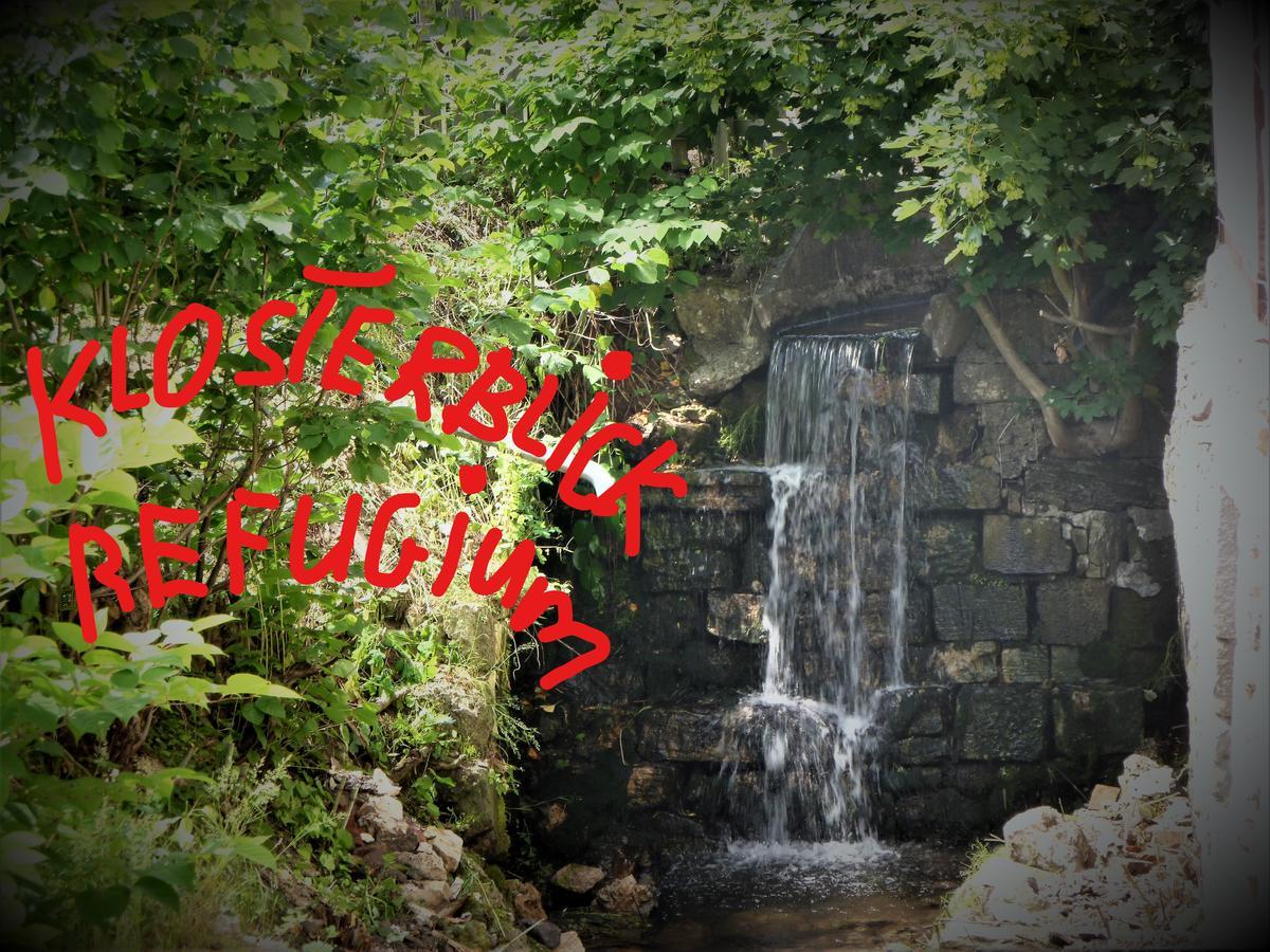 Ferienwohnungen Klosterblick Walkenried Zewnętrze zdjęcie